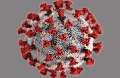 যেখানেই টিকা আগে পাওয়া যাবে, দেশের জন্য আনা হবে – প্রধানমন্ত্রী শেখ হাসিনা